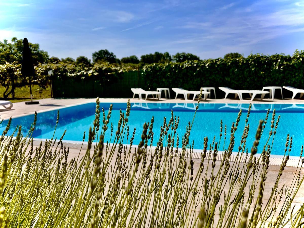 Pansion Margerita Bed & Breakfast Porec Exterior photo