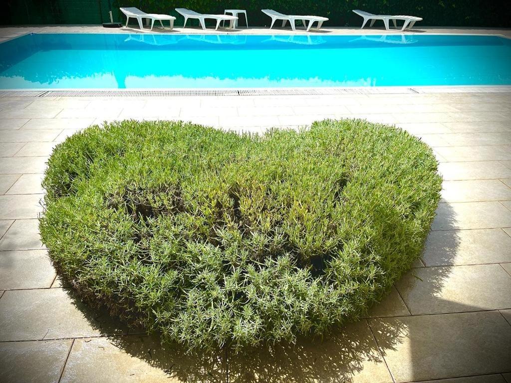 Pansion Margerita Bed & Breakfast Porec Exterior photo