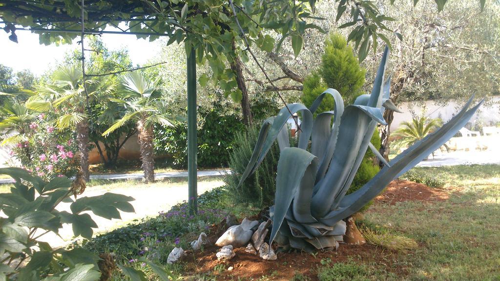 Pansion Margerita Bed & Breakfast Porec Exterior photo
